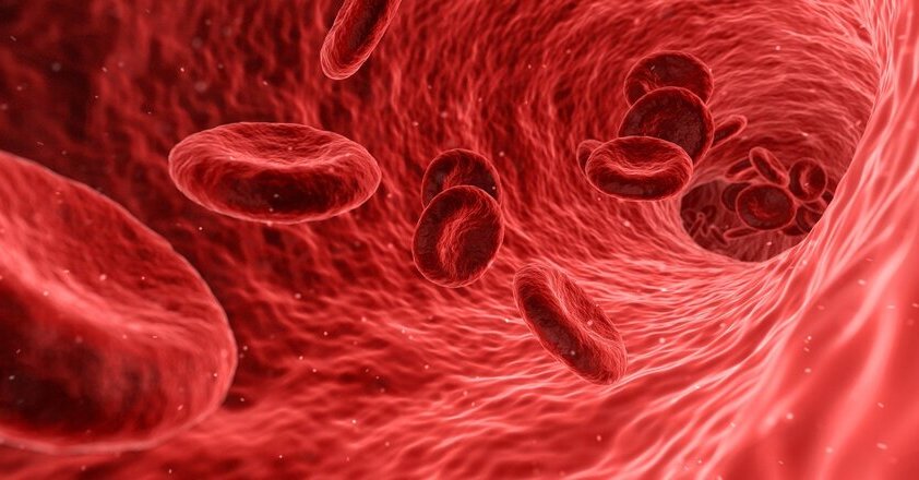 Blut und Blutverdünner