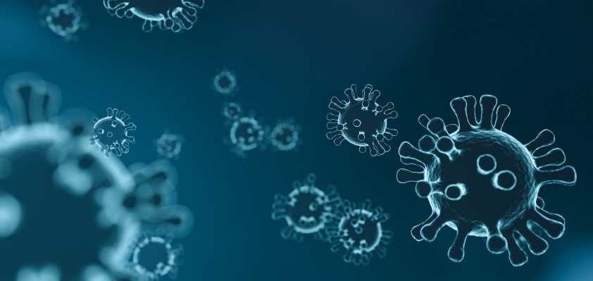 coronavirus