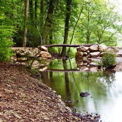 Kraftort Englischer Garten Arlesheim