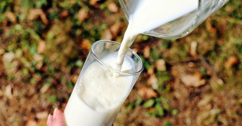 milch 01