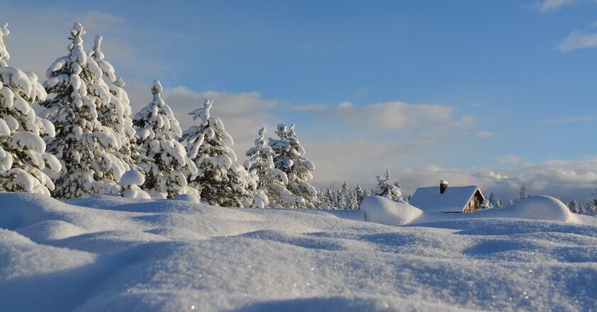 winter 01